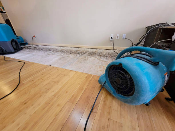 Professional Water Extraction technician working in Willingboro, NJ